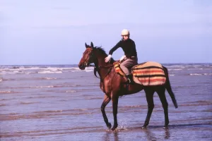 Horse Racing Prints: Red Rum in the Sea Print