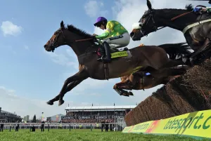 Horse Racing Prints: Ruby Walsh on Kauto Star Print - 2011 Cheltenham Gold Cup
