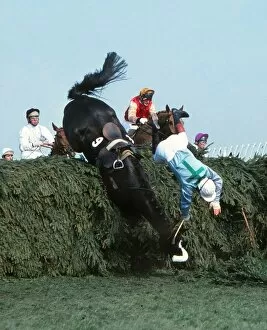 Images Dated 5th April 2011: Rubstic falls at the Chair during the 1980 Grand National