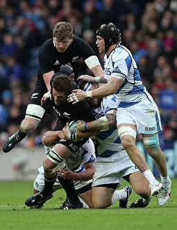 Rugby Gallery: 2012 Autumn Internationals Collection