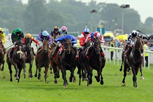 Yorkshire Ebor Festival - The Betfred Ebor Yorkshire Ebor Festival - The Betfred Ebor