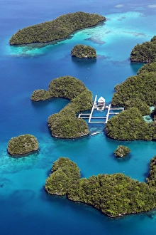 Aerial view of islands and Dolpjins of the Pacific, Republic of Palau, Micronesia Aerial view of islands and Dolpjins of the Pacific, Republic of Palau, Micronesia