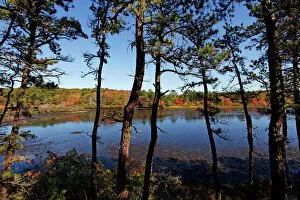 Foliage Collection: Changing colours of the autumn season at a lake in Provincetown, Cape Cod