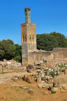 Rabat Gallery: The Chellah, a medieval fortified necropolis in Rabat, Morocco