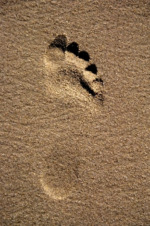Footprint