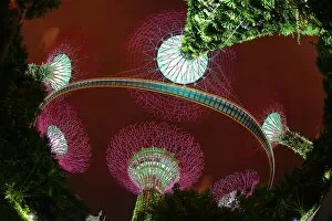 Gardens By The Bay Gallery: Futuristic Supertrees Grove, Gardens by the Bay, Singapore