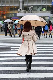 Images Dated 6th April 2013: Japanese woman crossing the street with umbrella in the rain on a pedestrian crossing in Shibuya