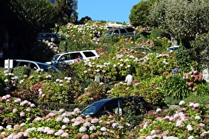 Lombard Street, the crookedest street in the workd in San Franciso, California, USA Lombard Street, the crookedest street in the workd in San Franciso, California, USA