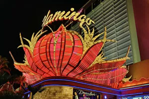 Casino Gallery: Neon lights of the Flamingo Hotel and Casino at night, Las Vegas, Nevada, America