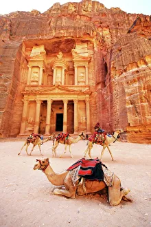 <b class=qtipBold><figcaption>Petra, Jordan</figcaption></b><br>Prints Prints Prints Petra, Jordan<br><em>© Paul Brown</em> Petra, Jordan