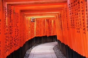 Tunnel Gallery: Senbon Torii, tunnels of red torii gates, at Fushimi Inari Shinto shrine in Kyoto, Japan