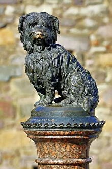 Dogs Gallery: Statue of Skye Terrier dog Greyfriars Bobby, Edinburgh, Scotland