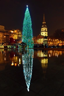Trafalgar Square Christmas Tree and reflection, Trafalgar Square, London Trafalgar Square Christmas Tree and reflection, Trafalgar Square, London