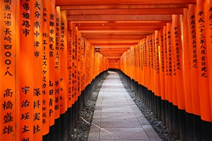 Tunnels of red Torii gates, Fushimi Inari shrine, Kyoto, Japan Tunnels of red Torii gates, Fushimi Inari shrine, Kyoto, Japan