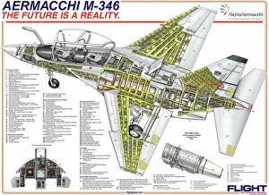 Images Dated 26th October 2009: Aermacchi M-346 Cutaway Poster