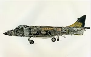 Images Dated 29th June 2011: Artists Impression of Harrier