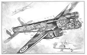 AW38 Whitley Cutaway Drawing