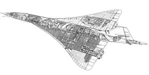 Images Dated 14th July 2005: BAe Concorde Cutaway Drawing