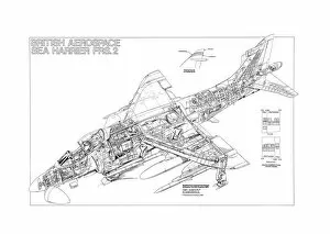 Images Dated 14th July 2005: BAe Sea Harrier FRS2 Cutaway Poster