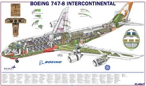 Images Dated 9th November 2012: Boeing 747-8 Cutaway