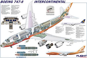 Boeing Cutaway Gallery: Boeing 747-8 Cutaway Poster
