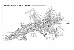 Boeing Cutaway Gallery: Boeing F / A-18A Hornet Cutaway Drawing