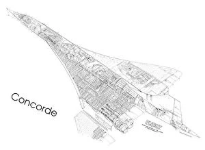 Concorde Gallery: Concorde First Cutaway Drawing