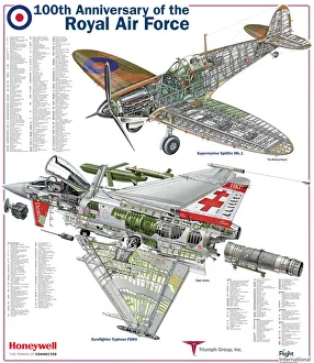 <b class=qtipBold><figcaption>RAF 100th Anniversary</figcaption></b><br><em>© FlightGlobal</em> RAF 100th Anniversary