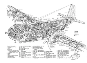 <b class=qtipBold><figcaption>Short Shetland Cutaway Drawing</figcaption></b><br><em>© Flightglobal</em> Short Shetland Cutaway Drawing