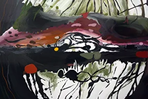 2011 Gallery: June Collection