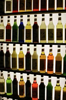 2008 Gallery: February