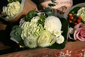 2011 Gallery: 