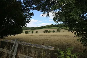 Images Dated 2nd August 2018: English countryside Chilterns Hambledon UK