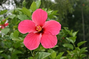 2011 Gallery: July Collection