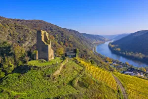 Aerial view on castle ruin Coraidelstein, Klotten, Mosel valley, Rhineland-Palatinate