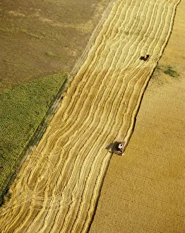 Aerial view of harvesting in Ribatejo, Portugal Aerial view of harvesting in Ribatejo, Portugal