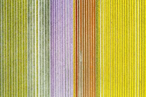 : Abstract Collection