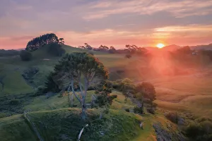 Aerial view of the rolling hills near Matamata at sunrise Aerial view of the rolling hills near Matamata at sunrise