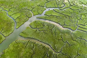 Aerial view of salt marshes on the Camel Estuary, Wadebridge, Cornwall Aerial view of salt marshes on the Camel Estuary, Wadebridge, Cornwall