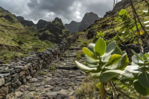 Ponta do Sol Gallery: africa, Cape Verde, Santo Antao. The coastal path to cruzinha da garca