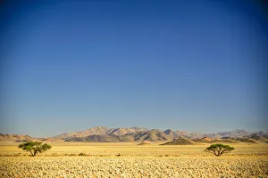 Africa, Namibia. a dry landscape near the Tiras Mountains Africa, Namibia. a dry landscape near the Tiras Mountains