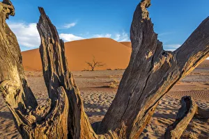 Africa, Namibia. Dune at Sossusvlei in the Namib desert Africa, Namibia. Dune at Sossusvlei in the Namib desert