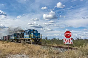Otjiwarongo Gallery: Africa, Namibia, Otjiwarongo. Train