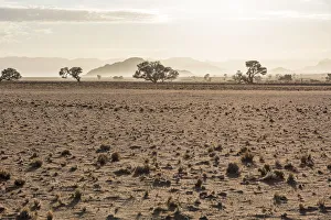 Africa, Namibia, Sossusvlei. Sunrise near to Sesriem Africa, Namibia, Sossusvlei. Sunrise near to Sesriem