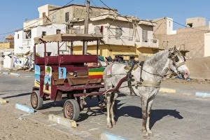 Saint-Louis Gallery: Africa, Senegal, Saint-Louis. A caleche, traditional taxi