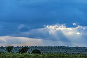 Africa, Tanzania, Loiborsoit. The landscape before the rain Africa, Tanzania, Loiborsoit. The landscape before the rain