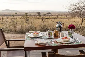 Africa, Tanzania, near to Tarangire National Park. Ecoscience Center and Luxury Lodge Africa, Tanzania, near to Tarangire National Park. Ecoscience Center and Luxury Lodge