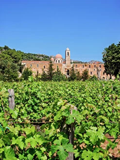 Winery Collection: Agia Triada Monastery Vineyard, Akrotiri Peninsula, Chania Region, Crete, Greece