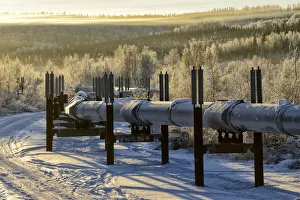 Alaska Pipeline Fairbanks, Alaska, USA Alaska Pipeline Fairbanks, Alaska, USA