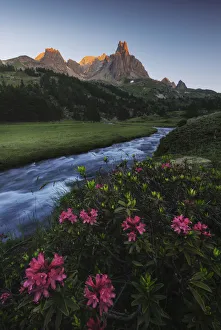 Alpine meadows during a summer sunrise, Val Claree, Southern France Alpine meadows during a summer sunrise, Val Claree, Southern France